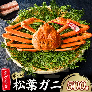 yӂ邳Ɣ[Łz艿iIy11lグzyqz^O t {C tKji 500g ȏj YCKj tI Jj  ɂ 艿i tz lΏہy113