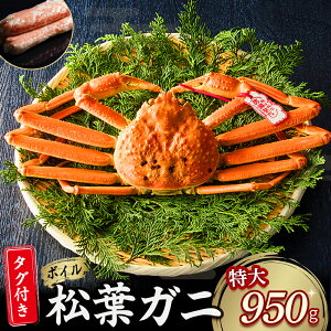 yӂ邳Ɣ[Łz yqz^O t {C tKj i 950g ȏj YCKj tI Jj  ɂ y113\z