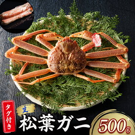 【ふるさと納税】【魚倉】 タグ付き 生 松葉ガニ （500g） ズワイガニ 松葉蟹 カニ かに かにしゃぶ 限定価格 限定寄付額 【11月から3月発送予定】