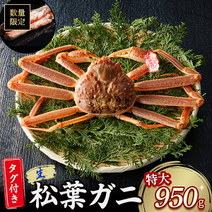 yӂ邳Ɣ[Łz 艿iIy11lグzyqz^O t  tKj i950gj YCKj tI Jj  ɂ 艿i tz lΏ y113