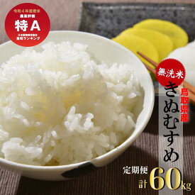 【ふるさと納税】＜ 無洗米 ＞ きぬむすめ 10kg 6回 定期便 （ 10kg × 6回 ）令和5年産 新米 お米 米 こめ コメ 無洗米 きぬむすめ 定期便