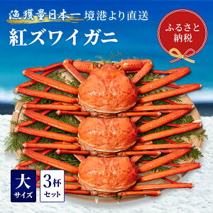 yӂ邳Ɣ[ŁzyIZuzYCKjigYCKjj3tZbgi500`600g×3j ① Jj {C gYCKj VN YCKj 킢 Ԍ Y 挧 qgs