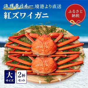 yӂ邳Ɣ[ŁzyIZuzYCKjigYCKjj2tZbgi500`600g×2j ① Jj {C gYCKj VN YCKj 킢 Ԍ Y 挧 qgs
