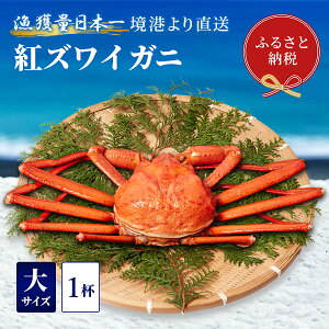 yӂ邳Ɣ[ŁzyIZuzYCKjigYCKjj1ti500`600g×1j ① Jj {C gYCKj VN YCKj 킢 Ԍ Y 挧 qgs