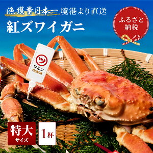 yӂ邳Ɣ[ŁzyIZuzYCKjigYCKjj1ti600`700g×1j ① Jj {C gYCKj VN YCKj 킢 Ԍ Y 挧 qgs