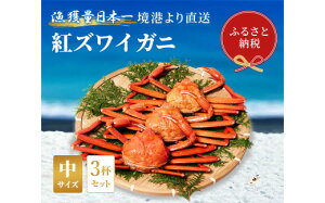 yӂ邳Ɣ[ŁzyIZuzYCKjigYCKjj3tZbgi400`500g×3j ① Jj {C gYCKj VN YCKj 킢 Ԍ Y 挧 qgs