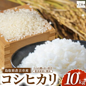 yӂ邳Ɣ[ŁzyVāzyߘa7YāzqgsY RVqJ 10kgi5kg×2܁jIׂI ]_ ʌ V ߘa7NY     R  Ђ RVqJ u