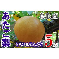 大ぶりの実にジューシーな果汁がたっぷり。肉質はやわらかく、食べ応えのある梨です。