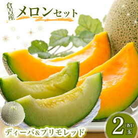 【ふるさと納税】倉吉メロンセット ディーバ＆プリモレッド （2玉入り） 鳥取 果物 フルーツ メロン ディーバ プリモレッド メロン 数量限定 期間限定 鳥取県 倉吉市