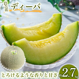 【ふるさと納税】ディーバメロン【倉吉産】 約2.7kg （10月発送） 鳥取 果物 フルーツ メロン ディーバメロン 数量限定 期間限定 鳥取県 倉吉市