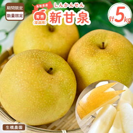 【ふるさと納税】新甘泉【鳥取県産】（家庭用）5kg（生橋農園） 青秀 鳥取 梨 5kg 果物 フルーツ 和梨 先行予約 数量限定 新甘泉 詰め合わせ 新品種
