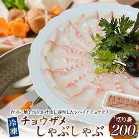 【ふるさと納税】 珍しいチョウザメのしゃぶしゃぶ！ 倉吉蝶鮫 切り身200g ／ 国産 ちょうざめ チョウザメ しゃぶしゃぶ 倉吉市 18000 1万8千円