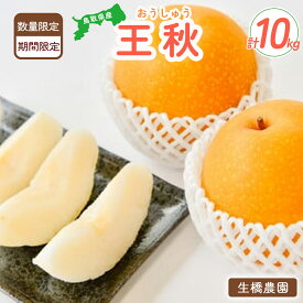 【ふるさと納税】 王秋 10kg（生橋農園） 鳥取県産 梨 鳥取 果物 フルーツ 王秋 和梨 先行予約 数量限定 詰め合わせ 今が旬 甘い 人気