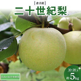 【ふるさと納税】 二十世紀梨 5kg（10〜20玉） 倉吉産 福井果樹園 二十世紀梨 20世紀梨 梨 なし ナシ ブランド梨 果物 フルーツ 和梨 数量限定