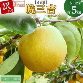 【ふるさと納税】【希少梨】訳あり 晩三吉 5kg（5〜12玉） 倉吉産 福井果樹園 おくさんきち 梨 なし ナシ ブランド梨 冬梨 希少品種 果物 フルーツ 和梨 数量限定