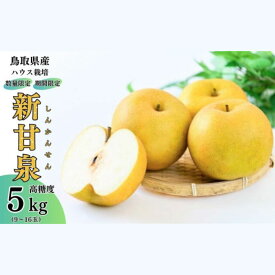 【ふるさと納税】【先行予約・数量限定】ハウス新甘泉 鳥取県産 5kg （生橋農園） 梨 鳥取 5kg 果物 フルーツ 和梨 先行予約 数量限定 詰め合わせ 新甘泉 甘い