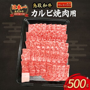 yӂ邳Ɣ[ŁzaIC55 Jr ēpi500gj Y  a јa ē BBQ Jr aJr Jr