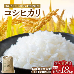 【ふるさと納税】コシヒカリ 選べる精米歩合 10kg〜18kg 令和7年産 新米 お米 米 こめ コメ こしひかり コシヒカリ ご飯 ごはん 鳥取県 倉吉市産
