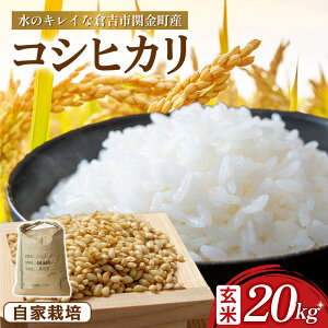 yӂ邳Ɣ[ŁzRVqJ  10kg`20kg ߘa7NY V    R Ђ RVqJ  ͂ 挧 qgsY