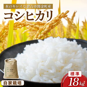 【ふるさと納税】コシヒカリ 選べる精米歩合 10kg〜18kg 令和7年産 新米 お米 米 こめ コメ こしひかり コシヒカリ ご飯 ごはん 鳥取県 倉吉市産