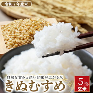 yӂ邳Ɣ[Łzyߘa7NYāzʂނ  5kgi ʌ V    R ʂނ   ͂ đ j