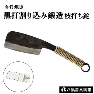 yӂ邳Ɣ[ŁzŊ荞ݒb@}ł AEghA Lv i^ 挧 qgs