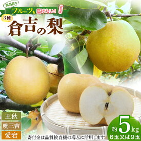 【ふるさと納税】【期間限定】【生産者応援品】令和8年産 倉吉の梨 3種ミックス（王秋・晩三吉・あたご）計5kg 王秋 晩三吉 あたご梨 倉吉産 梨 ナシ ブランド梨 果物 フルーツ 先行予約 和梨 数量限定 寄付金用途指定