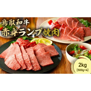yӂ邳Ɣ[Łza Ԑgvē 300g`2kg ( 500g × 4 ) Y   v Ԑg a јa uh ē Ă  挧 qgs