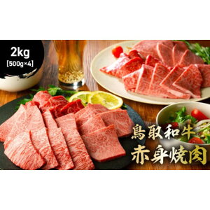yӂ邳Ɣ[Łz a Ԑgē 300g`2kg (500g × 4) Y  Ԑg a јa uh ē Ă  挧 qgs
