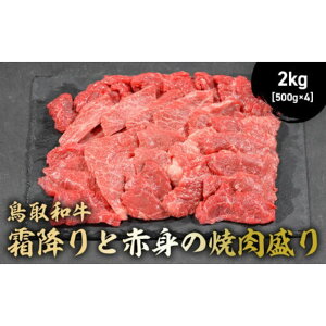 yӂ邳Ɣ[Łz a ~ƐԐg̏ē (300g~2kg) Y  ē Ԑg ~ [X  o o[xL[ a јa uh Y 挧 qgs