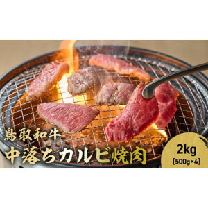 yӂ邳Ɣ[Łza Jrē 300g`2kg(500g×4) uh  Ă ē a јa  Jr o BBQ Ⓚ 挧 qgs