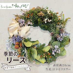 yӂ邳Ɣ[ŁzG߂̃[XiorhCt[j [X  hCt[ C 挧 qgs