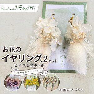 yӂ邳Ɣ[ŁzԂ̃COiCOorsAXj2Zbg  sAX CO hCt[ vU[uht[  挧 qgs