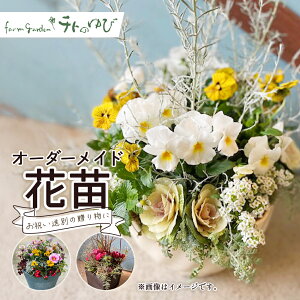 yӂ邳Ɣ[ŁzI[_[Ch^iԕcj  񂹔 蕨 I[_[Ch v[g LO j 挧 qgs