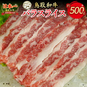 yӂ邳Ɣ[Łza IC55 oXCXi500gj Y  a јa o Ԑg XCX