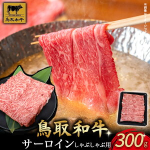 yӂ邳Ɣ[Łz aT[CԂԗp 300g T[C Ԃ Y  uh a јa  挧 qgs