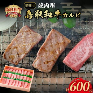 yӂ邳Ɣ[Łzaē Jr@600g ypz ē  挧 qgs