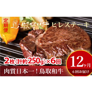 yӂ邳Ɣ[Łz a qXe[L 6 i250g×6j  q Ⓚ a Xe[L Y uh јa  qXe[L  ō 󏭕 ^ 挧 qgs