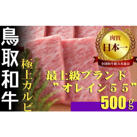 【ふるさと納税】鳥取和牛 最上級A5ランク オレイン55 極上カルビ 焼肉用 （大） 約500g 国産 牛肉 和牛 黒毛和牛 カルビ 焼肉 焼き肉