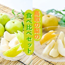 【ふるさと納税】【先行予約・数量限定】ハウス新甘泉とハウス二十世紀梨の食べ比べセット 鳥取県産 3kg 令和6年産 （生橋農園） 梨 鳥取 梨 3kg 果物 フルーツ 和梨 先行予約 数量限定 詰め合わせ 二十世紀梨 新甘泉 セット 食べ比べ 20世紀梨