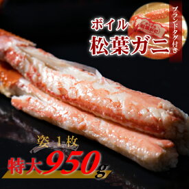 【ふるさと納税】 【先行予約】【魚倉】タグ 付き ボイル 松葉ガニ （特大 950g 以上） ズワイガニ 松葉蟹 カニ かに かにしゃぶ 【11月から3月発送予定】 早期受付 先行予約