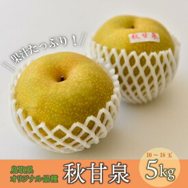 【ふるさと納税】先行予約 秋甘泉 【 倉吉産】 5kg （JA 鳥取 中央）9月上旬から9月中旬発送予定 数量限定 令和6年産 梨 ナシ なし 赤梨 フルーツ 果物 鳥取県産 あきかんせん