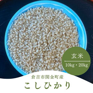 yӂ邳Ɣ[ŁzRVqJ  10kg`20kg ߘa7NY V    R Ђ RVqJ  ͂ 挧 qgsY