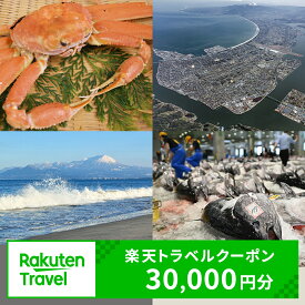 【ふるさと納税】鳥取県境港市の対象施設で使える楽天トラベルクーポン 寄附額100,000円