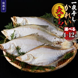【ふるさと納税】＜選べる＞一夜干しかれい 大サイズ！(4～12枚)【鳥取県 境港市】 | かれい カレイ 鰈 一夜干し 干物 魚干物 大サイズ 大きめ ふっくら 淡白 上品 旨味 焼き魚