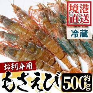 yӂ邳Ɣ[ŁzIׂ遄s\tI2026N3{`4{\聄hgpTGr(500g)Y 挧 `s Gr CV CN  L   hg  NURG
