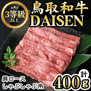 yӂ邳Ɣ[ŁzaDAISEN[XԂԗp(v400g)Y 挧Y [X R     Ⓚysm-AO005zyKz