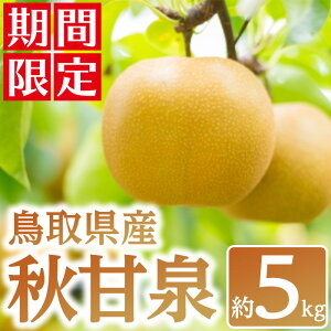 yӂ邳Ɣ[Łzʌ聄2025N9{ȍ~\聄挧Y HÐ(5kg) Y 挧 挧Y  Ȃ iV ʕ  t[c XC[c { 挧Y ysm-BZ003zy