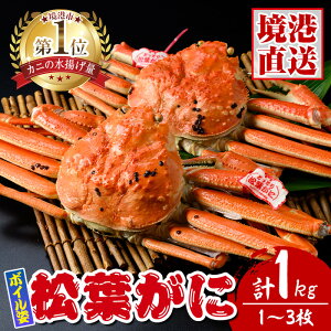 yӂ邳Ɣ[ŁztɃ{Cp (1`3Ev1kg) Y  CN Jj  I tKj tI YCKj 킢 {C Ⓚ ysm-AK004zy務sȂz