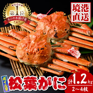yӂ邳Ɣ[ŁztɃ{Cp (2`4Ev1.2kg) Y  CN Jj  I tKj tI YCKj 킢 {C Ⓚ ysm-AK006zy務sȂz